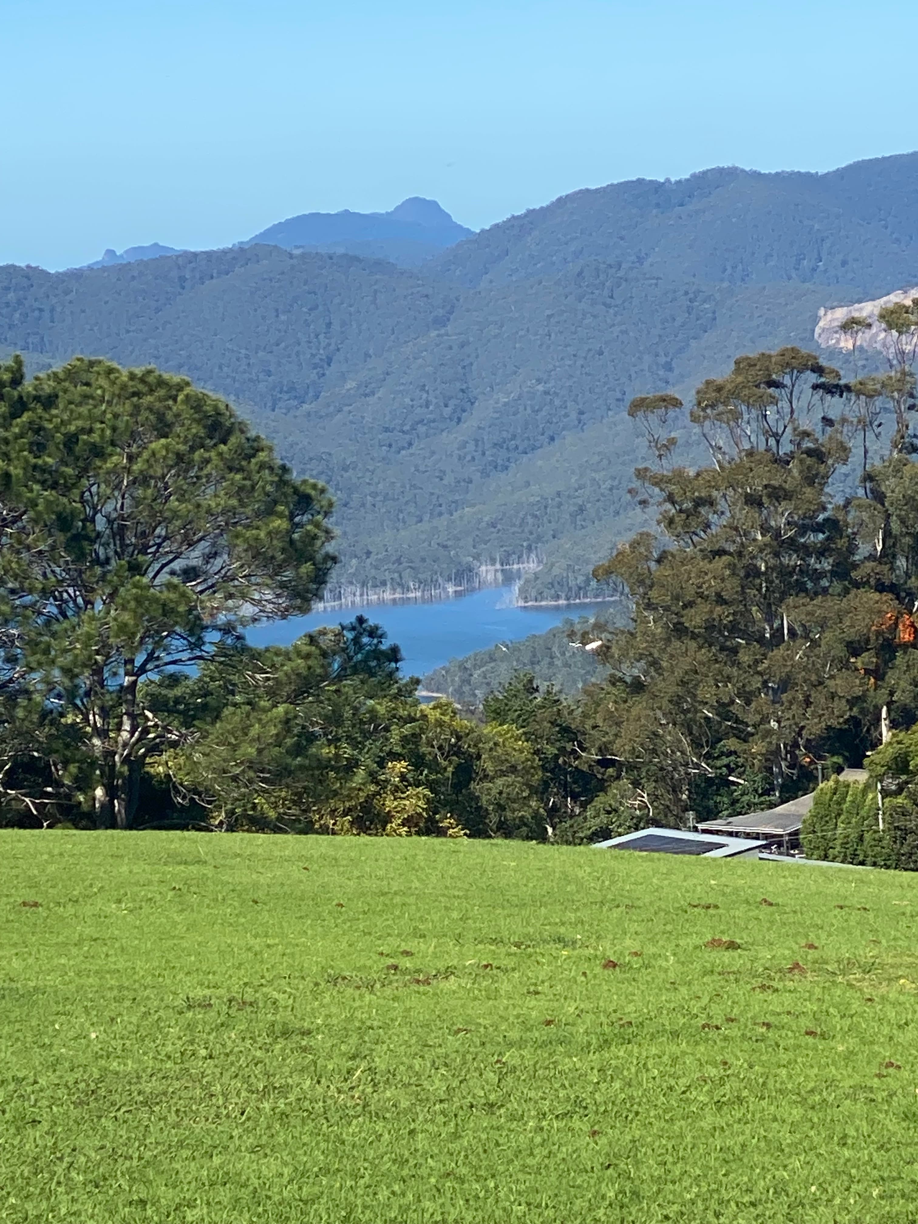 Lush green meadow overlooking a blue lake surrounded by dense forests and rolling mountains.